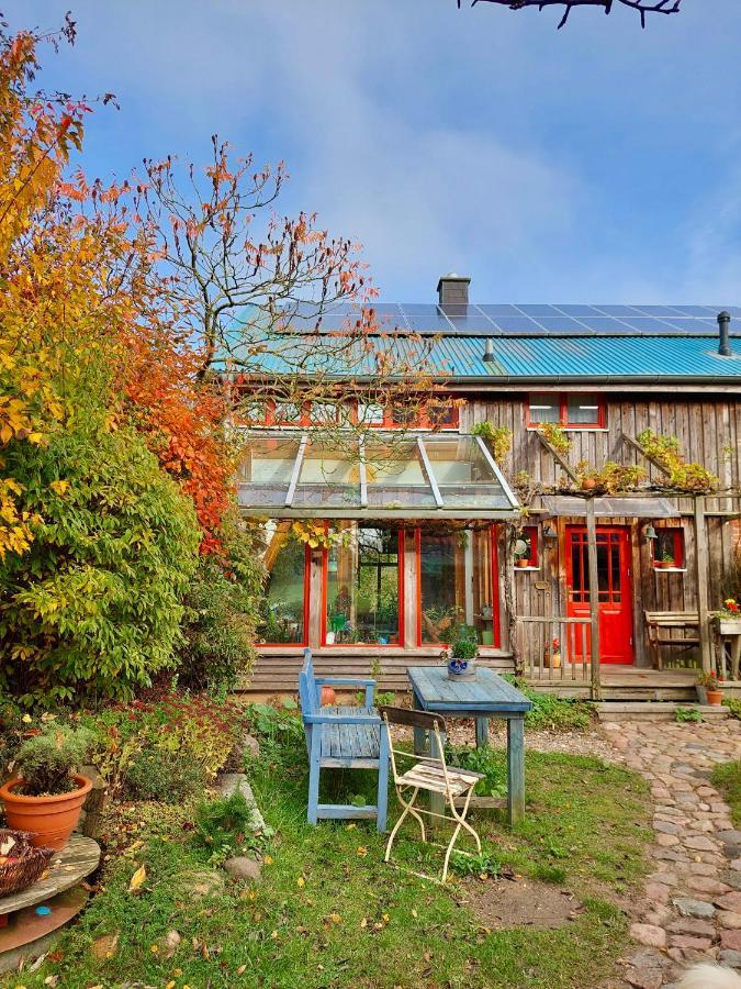 Gemuetliches Studio-Apartment In Ostseenaehe - Cosy Wulfi Probsteierhagen Exterior photo